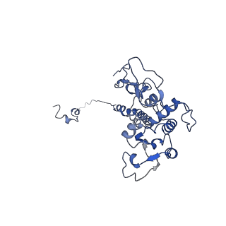 15868_8b6j_d_v1-2
Cryo-EM structure of cytochrome bc1 complex (complex-III) from respiratory supercomplex of Tetrahymena thermophila