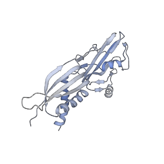 7059_6b6h_A_v1-4
The cryo-EM structure of a bacterial class I transcription activation complex
