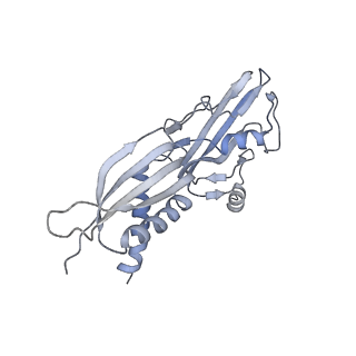 7059_6b6h_A_v1-5
The cryo-EM structure of a bacterial class I transcription activation complex