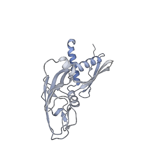 7059_6b6h_B_v1-4
The cryo-EM structure of a bacterial class I transcription activation complex