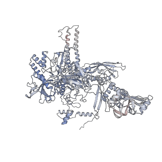 7059_6b6h_C_v1-4
The cryo-EM structure of a bacterial class I transcription activation complex