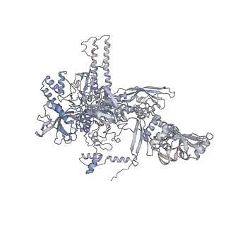 7059_6b6h_C_v1-5
The cryo-EM structure of a bacterial class I transcription activation complex