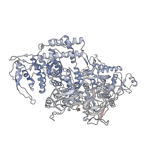 7059_6b6h_D_v1-4
The cryo-EM structure of a bacterial class I transcription activation complex