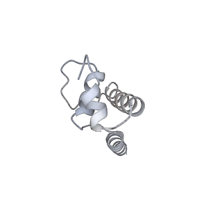 7059_6b6h_E_v1-4
The cryo-EM structure of a bacterial class I transcription activation complex