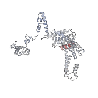 7059_6b6h_F_v1-4
The cryo-EM structure of a bacterial class I transcription activation complex