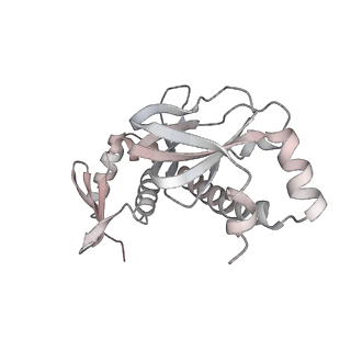 7059_6b6h_G_v1-4
The cryo-EM structure of a bacterial class I transcription activation complex