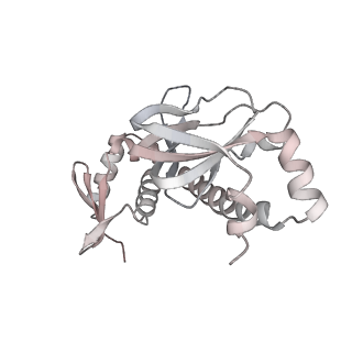 7059_6b6h_G_v1-5
The cryo-EM structure of a bacterial class I transcription activation complex