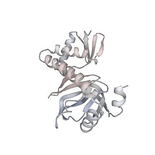 7059_6b6h_H_v1-4
The cryo-EM structure of a bacterial class I transcription activation complex