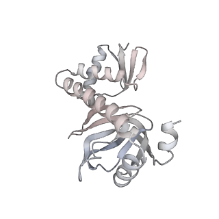 7059_6b6h_H_v1-5
The cryo-EM structure of a bacterial class I transcription activation complex