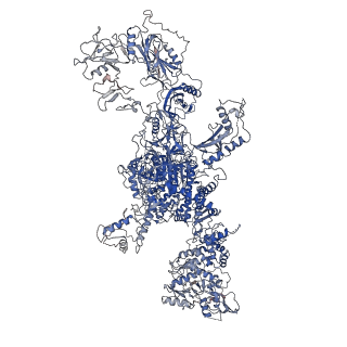 12073_7b75_A_v1-1
Cryo-EM Structure of Human Thyroglobulin