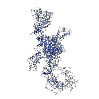 12073_7b75_B_v1-1
Cryo-EM Structure of Human Thyroglobulin