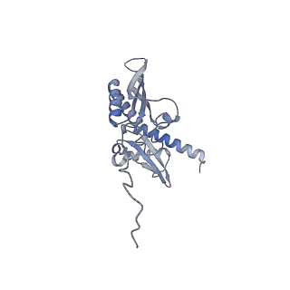 12081_7b7d_A_v1-0
Yeast 80S ribosome bound to eEF3 and A/A- and P/P-tRNAs