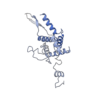 12081_7b7d_B_v1-0
Yeast 80S ribosome bound to eEF3 and A/A- and P/P-tRNAs