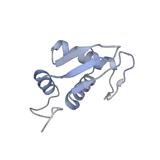 12081_7b7d_C_v1-0
Yeast 80S ribosome bound to eEF3 and A/A- and P/P-tRNAs