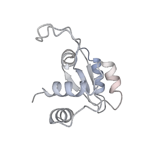 12081_7b7d_D_v1-0
Yeast 80S ribosome bound to eEF3 and A/A- and P/P-tRNAs
