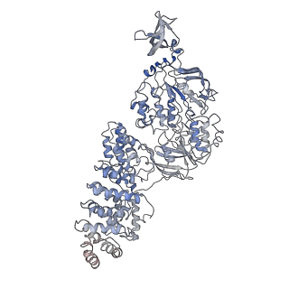 12081_7b7d_EF_v1-0
Yeast 80S ribosome bound to eEF3 and A/A- and P/P-tRNAs