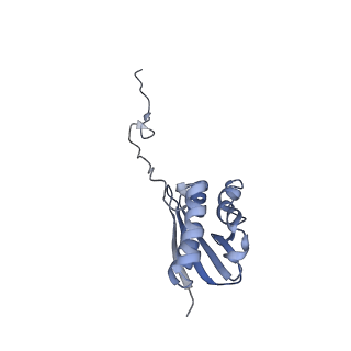 12081_7b7d_F_v1-0
Yeast 80S ribosome bound to eEF3 and A/A- and P/P-tRNAs