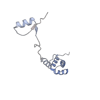 12081_7b7d_G_v1-0
Yeast 80S ribosome bound to eEF3 and A/A- and P/P-tRNAs