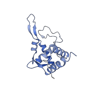 12081_7b7d_I_v1-0
Yeast 80S ribosome bound to eEF3 and A/A- and P/P-tRNAs