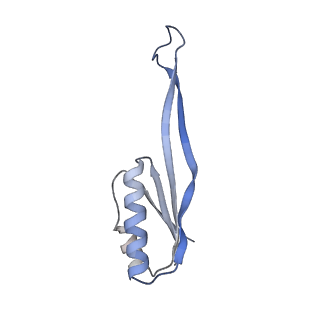 12081_7b7d_J_v1-0
Yeast 80S ribosome bound to eEF3 and A/A- and P/P-tRNAs