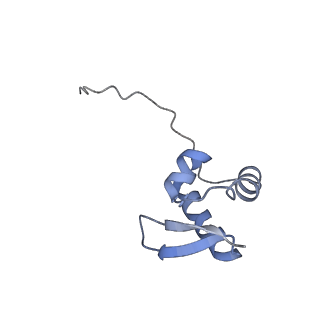 12081_7b7d_K_v1-0
Yeast 80S ribosome bound to eEF3 and A/A- and P/P-tRNAs