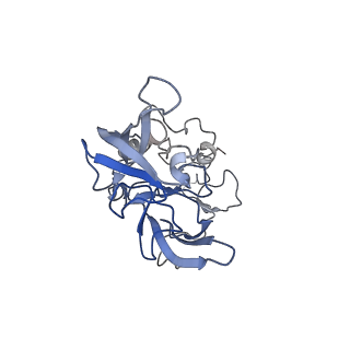 12081_7b7d_LD_v1-0
Yeast 80S ribosome bound to eEF3 and A/A- and P/P-tRNAs