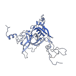 12081_7b7d_LE_v1-0
Yeast 80S ribosome bound to eEF3 and A/A- and P/P-tRNAs