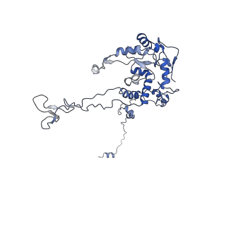 12081_7b7d_LF_v1-0
Yeast 80S ribosome bound to eEF3 and A/A- and P/P-tRNAs
