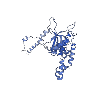 12081_7b7d_LG_v1-0
Yeast 80S ribosome bound to eEF3 and A/A- and P/P-tRNAs
