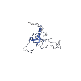 12081_7b7d_LH_v1-0
Yeast 80S ribosome bound to eEF3 and A/A- and P/P-tRNAs