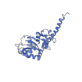 12081_7b7d_LI_v1-0
Yeast 80S ribosome bound to eEF3 and A/A- and P/P-tRNAs