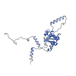 12081_7b7d_LJ_v1-0
Yeast 80S ribosome bound to eEF3 and A/A- and P/P-tRNAs