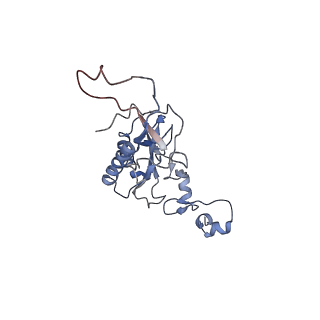 12081_7b7d_LL_v1-0
Yeast 80S ribosome bound to eEF3 and A/A- and P/P-tRNAs