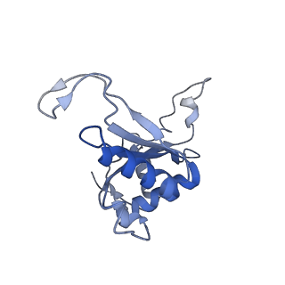 12081_7b7d_LM_v1-0
Yeast 80S ribosome bound to eEF3 and A/A- and P/P-tRNAs