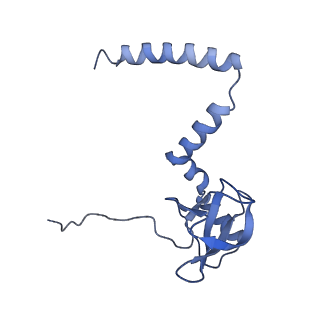 12081_7b7d_LO_v1-0
Yeast 80S ribosome bound to eEF3 and A/A- and P/P-tRNAs