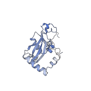 12081_7b7d_LP_v1-0
Yeast 80S ribosome bound to eEF3 and A/A- and P/P-tRNAs