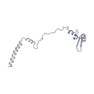 12081_7b7d_LS_v1-0
Yeast 80S ribosome bound to eEF3 and A/A- and P/P-tRNAs