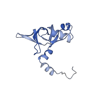 12081_7b7d_LU_v1-0
Yeast 80S ribosome bound to eEF3 and A/A- and P/P-tRNAs