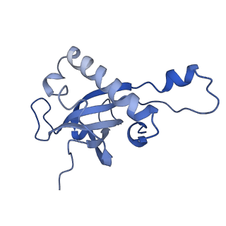 12081_7b7d_LV_v1-0
Yeast 80S ribosome bound to eEF3 and A/A- and P/P-tRNAs