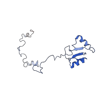 12081_7b7d_LW_v1-0
Yeast 80S ribosome bound to eEF3 and A/A- and P/P-tRNAs