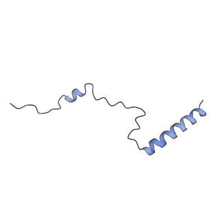 12081_7b7d_LX_v1-0
Yeast 80S ribosome bound to eEF3 and A/A- and P/P-tRNAs
