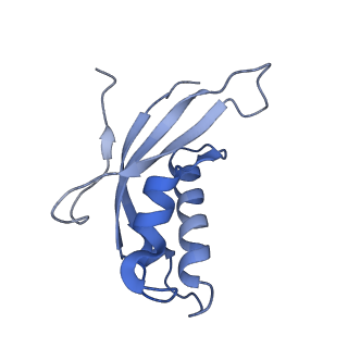 12081_7b7d_LZ_v1-0
Yeast 80S ribosome bound to eEF3 and A/A- and P/P-tRNAs