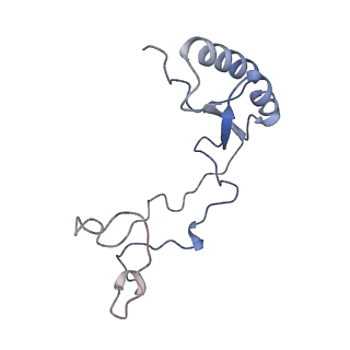 12081_7b7d_La_v1-0
Yeast 80S ribosome bound to eEF3 and A/A- and P/P-tRNAs