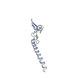 12081_7b7d_Lc_v1-0
Yeast 80S ribosome bound to eEF3 and A/A- and P/P-tRNAs