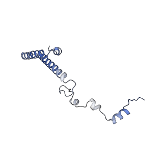 12081_7b7d_Ld_v1-0
Yeast 80S ribosome bound to eEF3 and A/A- and P/P-tRNAs