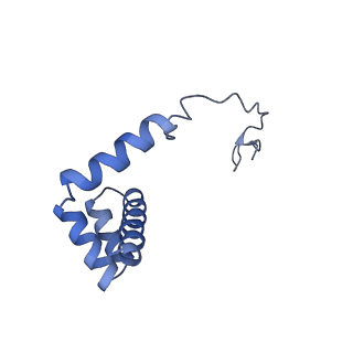 12081_7b7d_Le_v1-0
Yeast 80S ribosome bound to eEF3 and A/A- and P/P-tRNAs