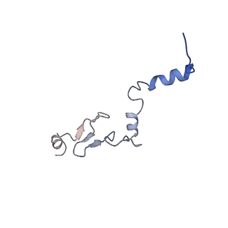 12081_7b7d_Lf_v1-0
Yeast 80S ribosome bound to eEF3 and A/A- and P/P-tRNAs