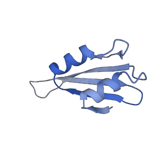 12081_7b7d_Lg_v1-0
Yeast 80S ribosome bound to eEF3 and A/A- and P/P-tRNAs
