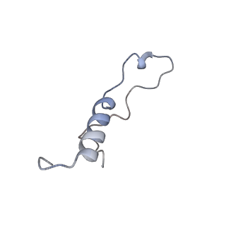 12081_7b7d_Lh_v1-0
Yeast 80S ribosome bound to eEF3 and A/A- and P/P-tRNAs