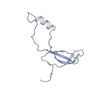 12081_7b7d_Lk_v1-0
Yeast 80S ribosome bound to eEF3 and A/A- and P/P-tRNAs